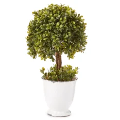 Topiary In Ceramic Pot