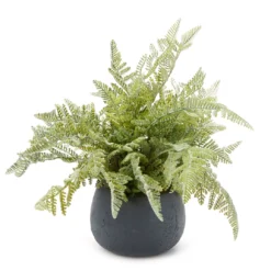 11" Green Artificial Fern In Black Round Pot