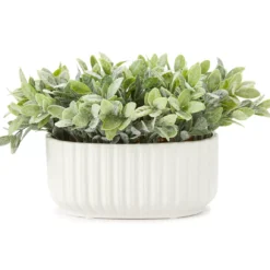 Green Leafy Plant In White Ripple Oval Ceramic Pot