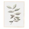 White & Green Botanical 1 Framed Wall Plaque