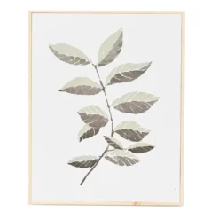 White & Green Botanical 1 Framed Wall Plaque
