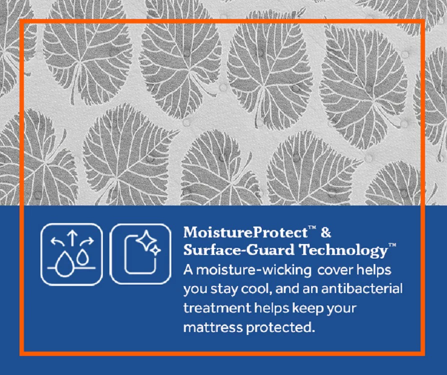 Edgefield Twin Plush Euro Pillow Top Mattress - Image 6