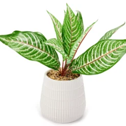 Green Artificial Leafy Arrangement With White Ridged Ceramic Pot