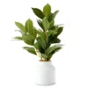 Green Artificial Banyan Plant With White Ceramic Pot