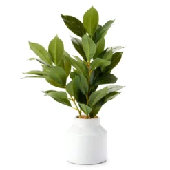 Green Artificial Banyan Plant With White Ceramic Pot