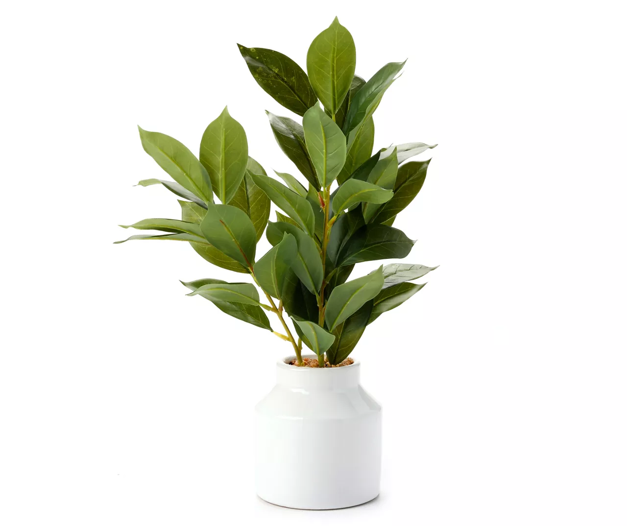 Green Artificial Banyan Plant With White Ceramic Pot