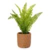Blossom Green Artificial Fern Arrangement With Brown Weave Cement Pot