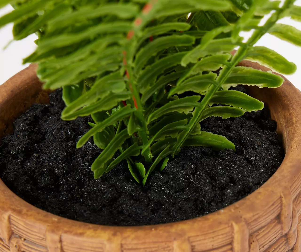 Blossom Green Artificial Fern Arrangement With Brown Weave Cement Pot - Image 2