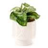 Wild Sedona Green Artificial Plant With White Geometric Pot