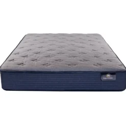 Danielsville Twin XL Plush Mattress
