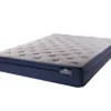 Demorest Full Plush Euro Top Mattress