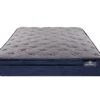 Demorest Twin XL Plush Euro Top Mattress