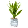 Bohemian Farmhouse Green Artificial Plant With White Patterned Pot