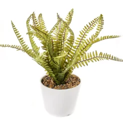 Artificial Fern In White Round Ceramic Pot