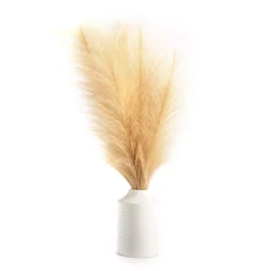 Tan Pampas Grass Arrangement With White Ceramic Pot
