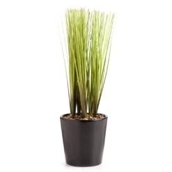 Artificial Grass In Ceramic Pot