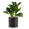 Artificial Greenery In Black Ribbed Ceramic Pot