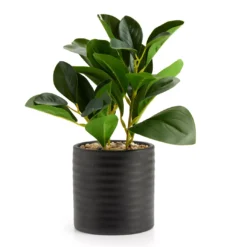 Artificial Greenery In Black Ribbed Ceramic Pot