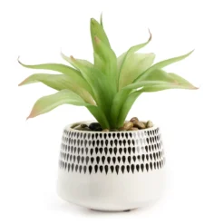Artificial Succulent In Black Teardrop Pattern Ceramic Planter