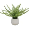 Artificial Fern In Speckle Glaze Pot