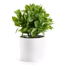 Artificial Greenery In White Ceramic Pot