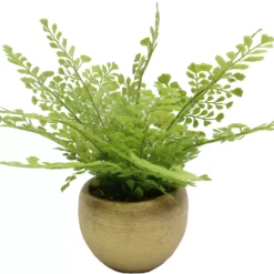 Homeward Artificial Greenery In Gold Cement Pot