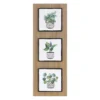 Plant Mix Trio Print Wall Decor