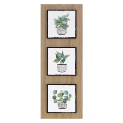 Plant Mix Trio Print Wall Decor