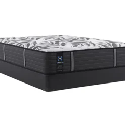 Sealy Posturepedic Plus Exuberant II Twin Ultra Soft Mattress & Box Spring Set