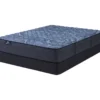 Serta Perfect Sleeper Oasis Sleep 12" Twin XL Extra Firm Mattress & Box Spring Set