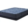 Serta Perfect Sleeper Radiant Rest Hybrid 14" Twin XL Plush Mattress & Low Profile Box Spring Set