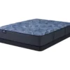 Serta Perfect Sleeper Oasis Sleep 13.25" Twin Plush Mattress & Low Profile Box Spring Set