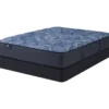 Serta Perfect Sleeper Oasis Sleep 13.25" Queen Plush Mattress & Box Spring Set