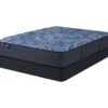 Serta Perfect Sleeper Oasis Sleep 13.25" California King Plush Mattress & Box Spring Set