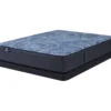 Serta Perfect Sleeper Radiant Rest Hybrid 14" Twin Firm Mattress & Low Profile Box Spring Set